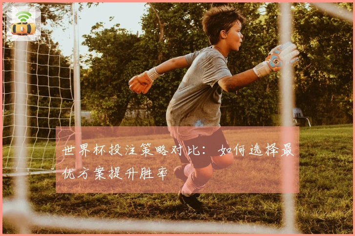 世界杯投注策略对比：如何选择最优方案提升胜率