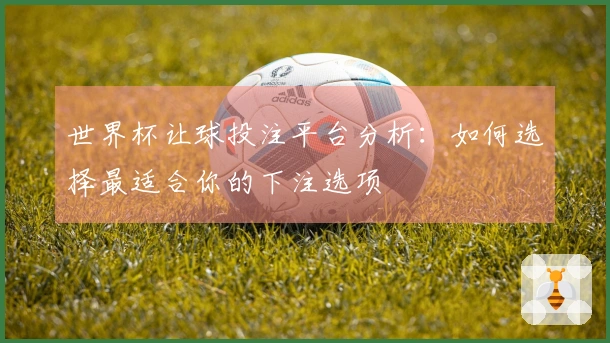 世界杯让球投注平台分析：如何选择最适合你的下注选项