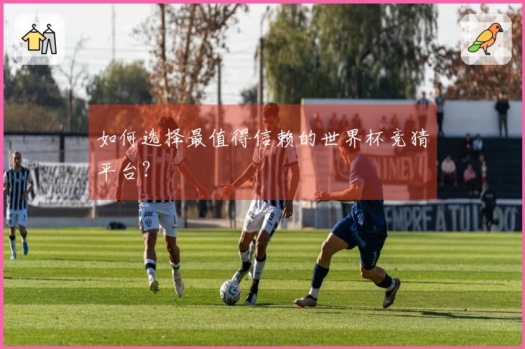 如何选择最值得信赖的世界杯竞猜平台？