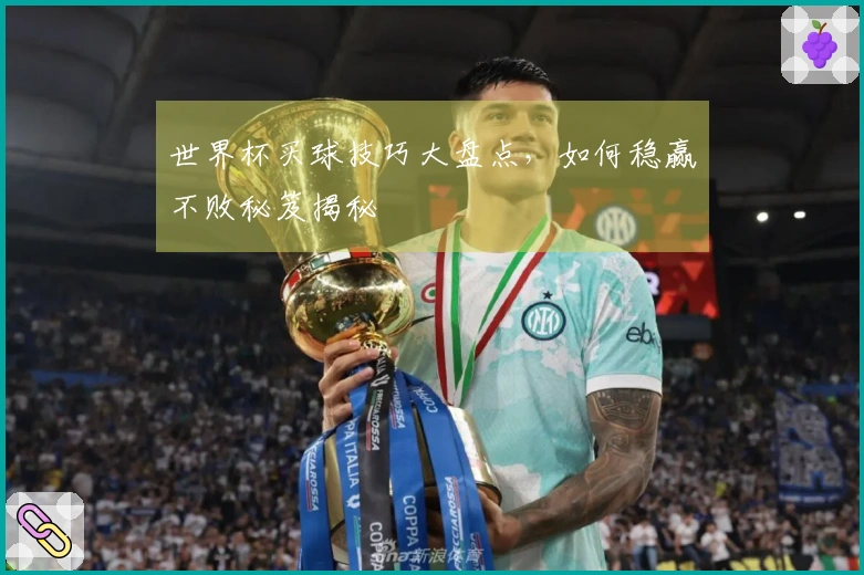 世界杯买球技巧大盘点，如何稳赢不败秘笈揭秘