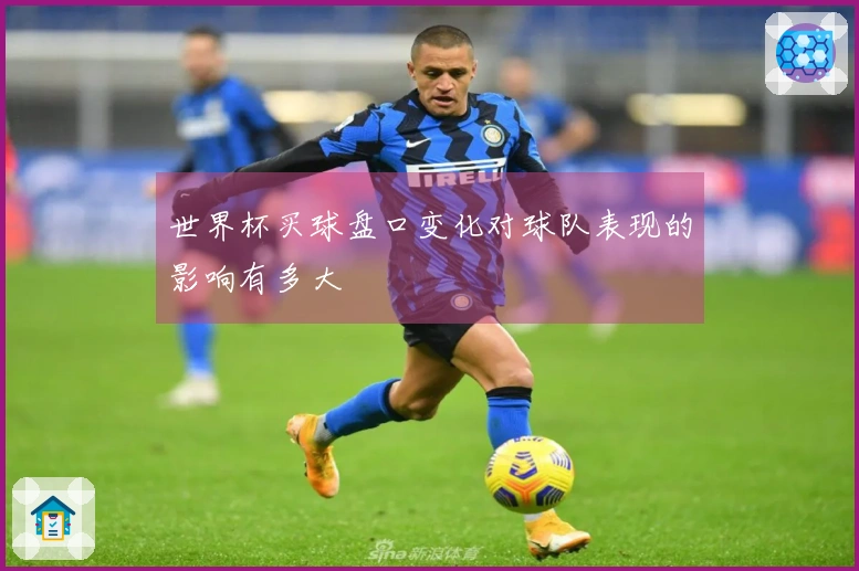 世界杯买球盘口变化对球队表现的影响有多大