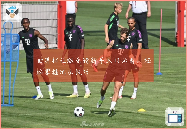 世界杯让球竞猜新手入门必看，轻松掌握玩法技巧