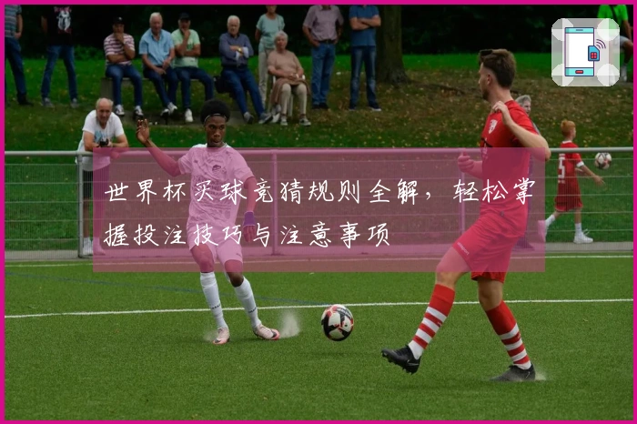 世界杯买球竞猜规则全解，轻松掌握投注技巧与注意事项