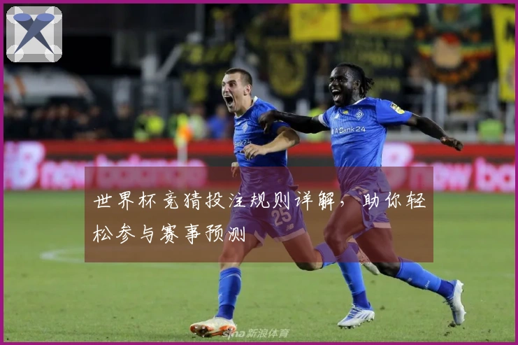 世界杯竞猜投注规则详解，助你轻松参与赛事预测